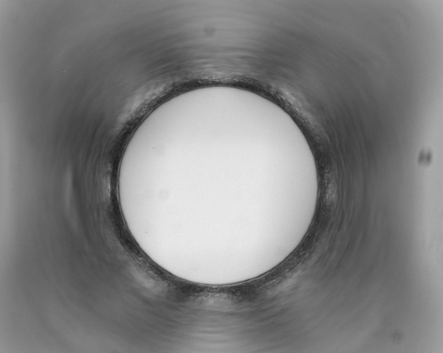 X0000089830685200707262024