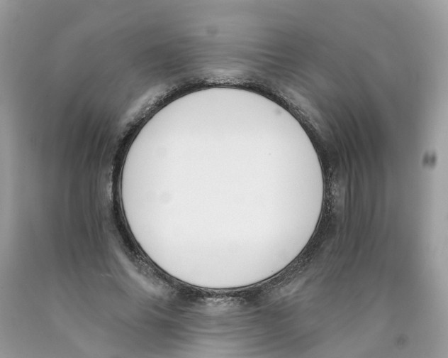 X0000089830686200707262024