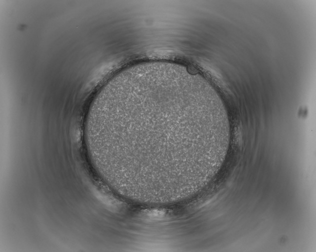 X0000089830687200707262024