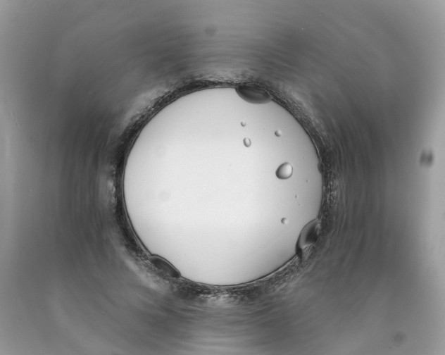 X0000089830688200707262024
