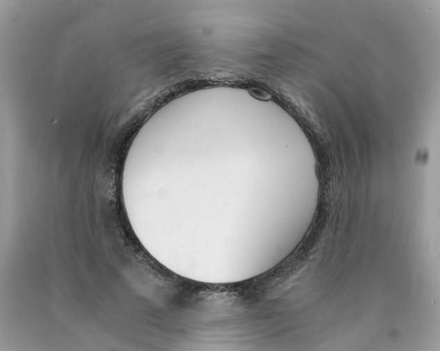 X0000089830689200707262024