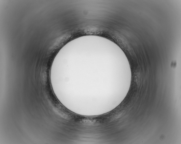 X0000089830690200707262024