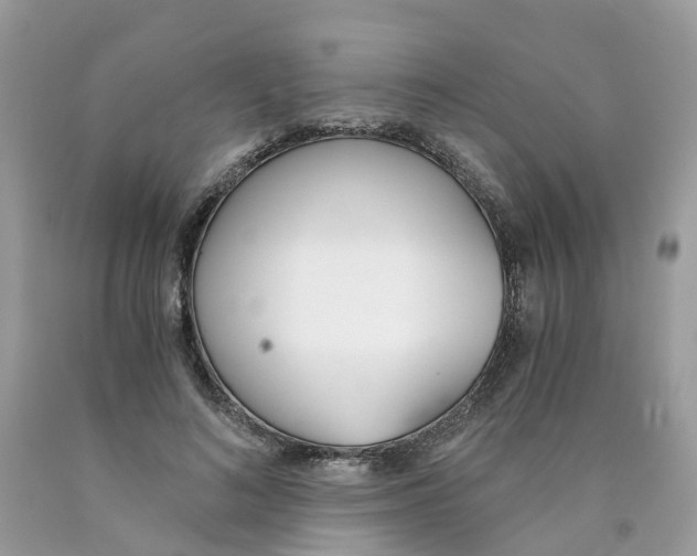 X0000089830692200707262024