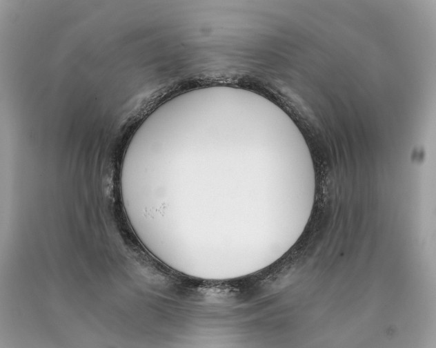 X0000089830693200707262024