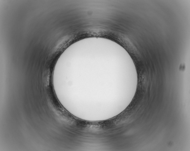 X0000089830694200707262024