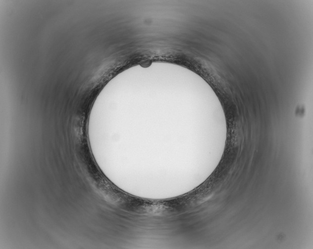 X0000089830695200707262024
