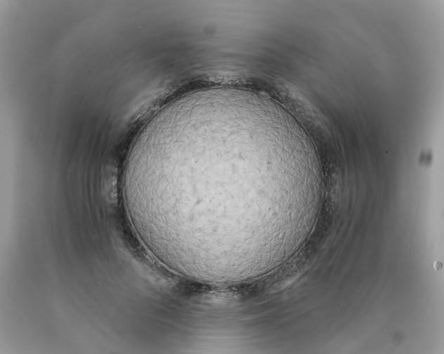 X0000089830696200707262024