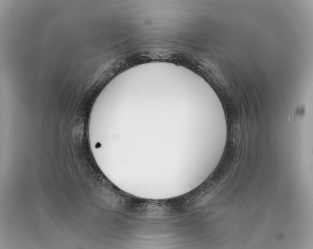 X0000089830697200707262024