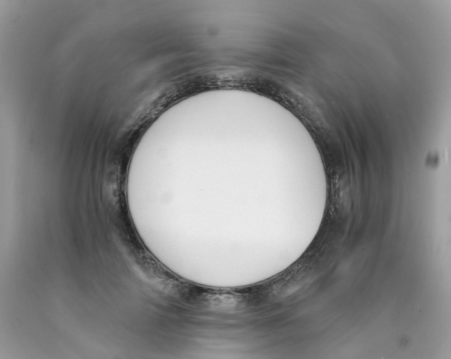 X0000089830698200707262024