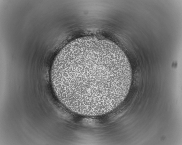 X0000089830699200707262024