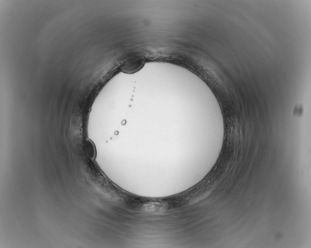 X0000089830700200707262024