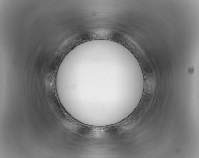 X0000089830701200707262024