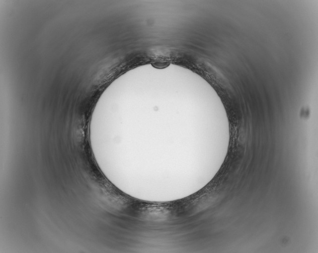 X0000089830702200707262024