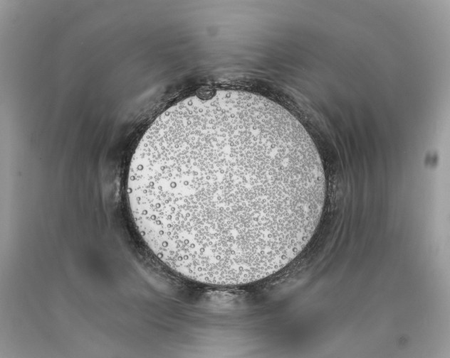 X0000089830703200707262024