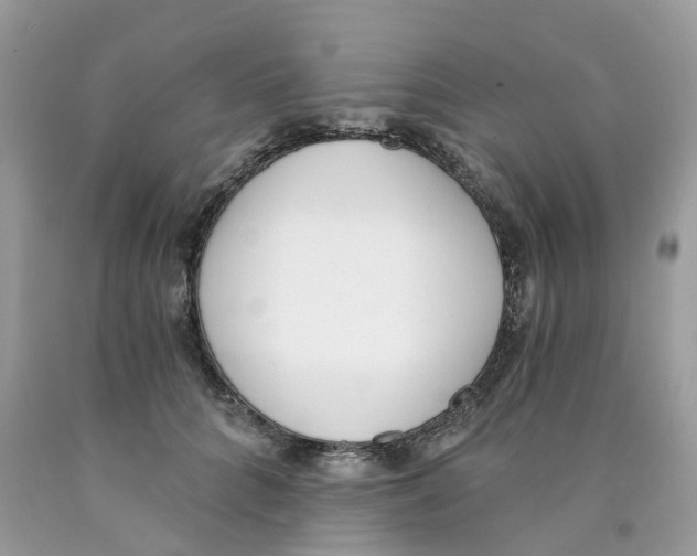 X0000089830704200707262024