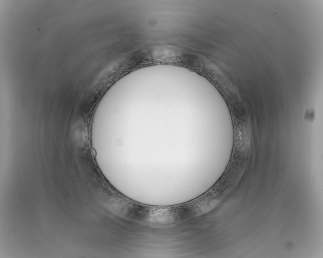 X0000089830705200707262024