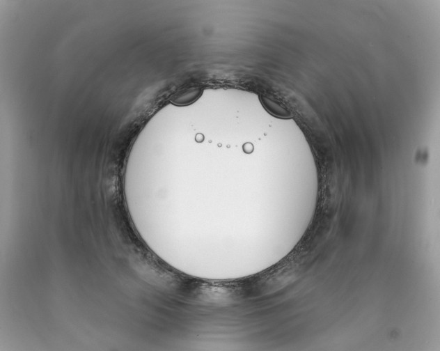 X0000089830706200707262024