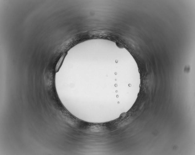 X0000089830708200707262024