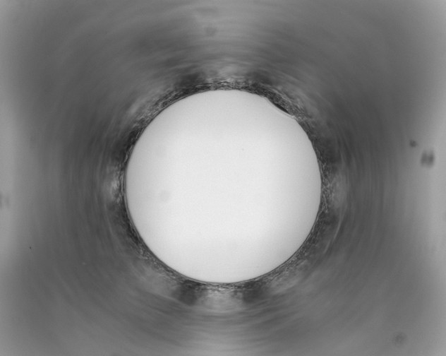 X0000089830709200707262024