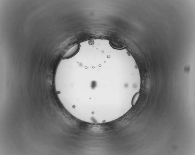 X0000089830710200707262024