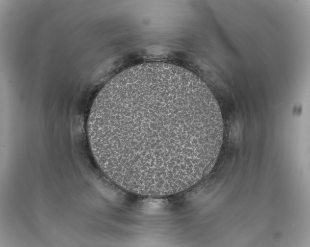 X0000089830711200707262024