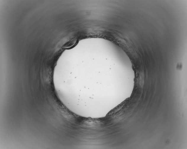 X0000089830712200707262024