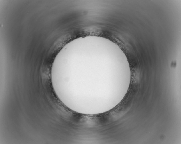 X0000089830713200707262024