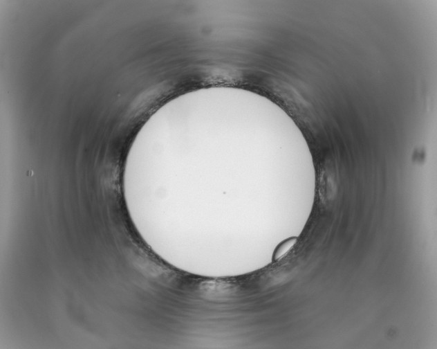 X0000089830714200707262024