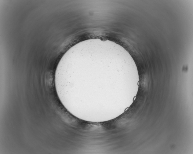 X0000089830715200707262024