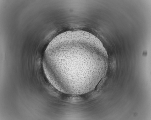 X0000089830716200707262024