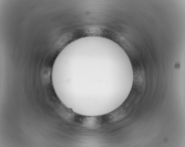 X0000089830717200707262024