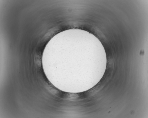 X0000089830719200707262024