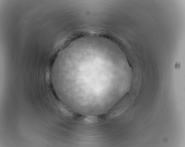 X0000089830720200707262023