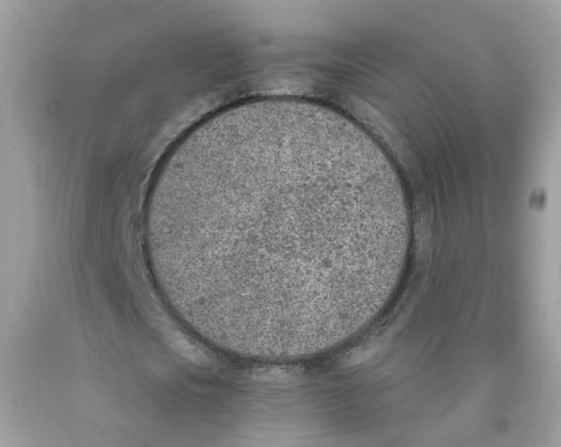 X0000089830721200707262023
