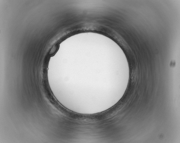 X0000089830722200707262023
