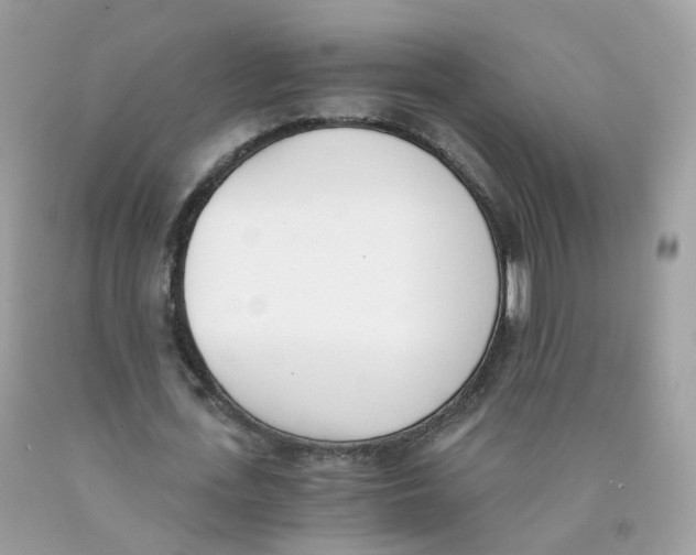 X0000089830723200707262023