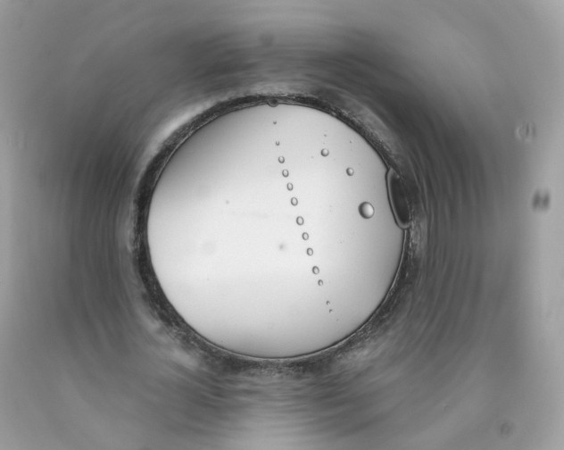 X0000089830724200707262023