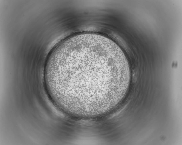 X0000089830725200707262023