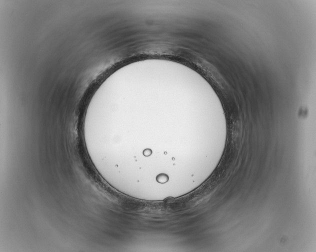 X0000089830727200707262023