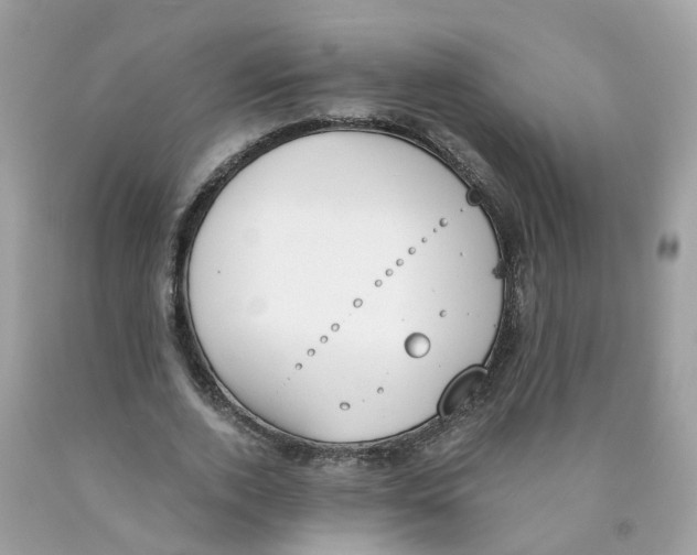 X0000089830728200707262023