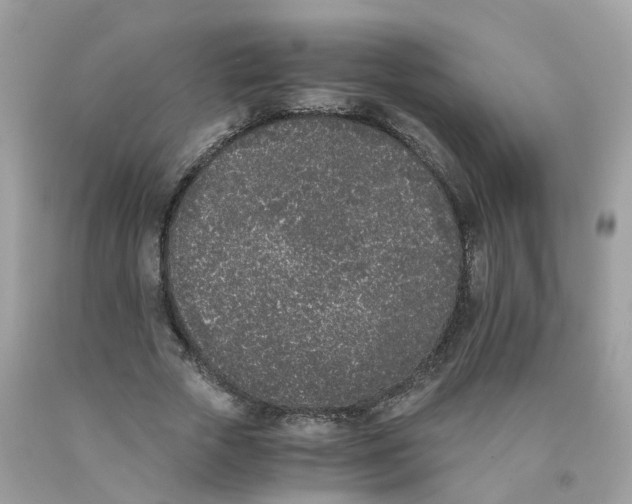 X0000089830729200707262023