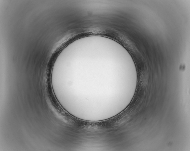 X0000089830730200707262023