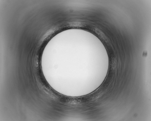 X0000089830731200707262023