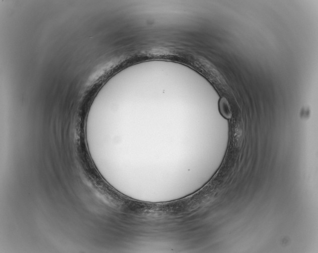 X0000089830732200707262023