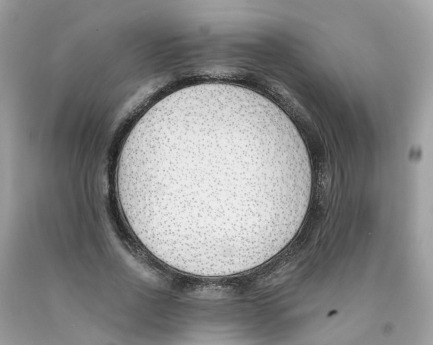 X0000089830734200707262023