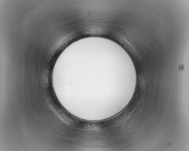 X0000089830735200707262023