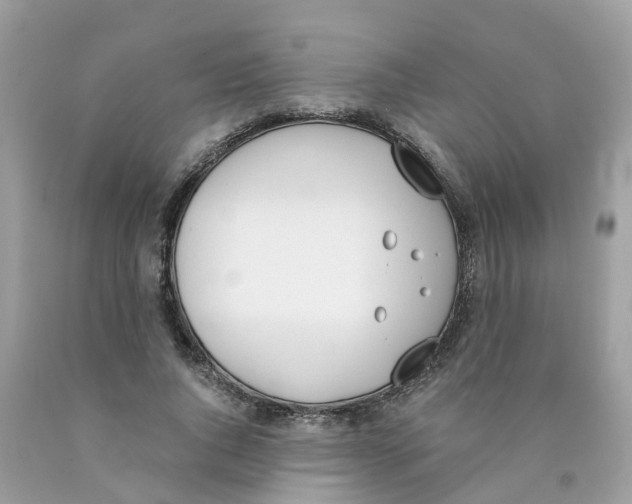 X0000089830736200707262023