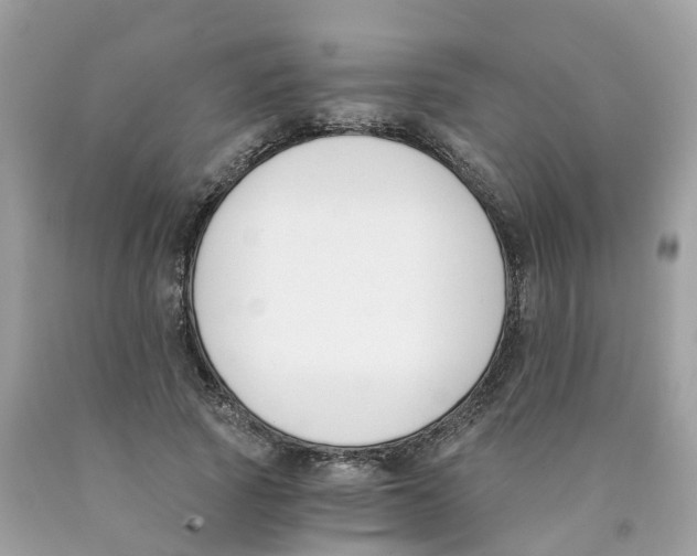 X0000089830737200707262023