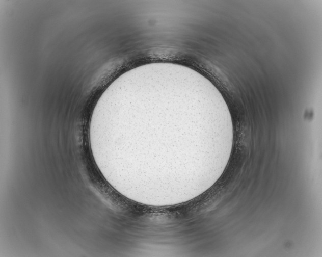 X0000089830738200707262023