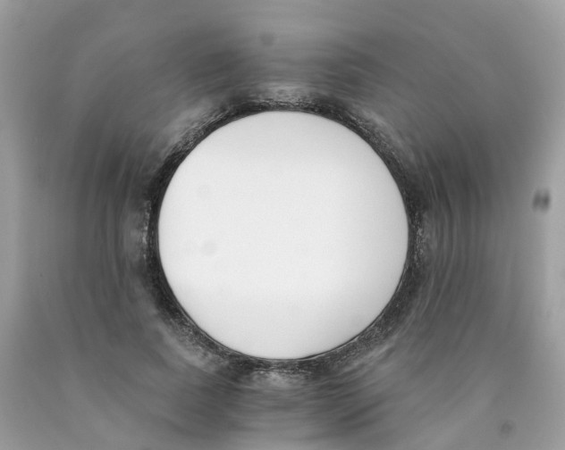 X0000089830739200707262023